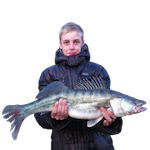Клиент